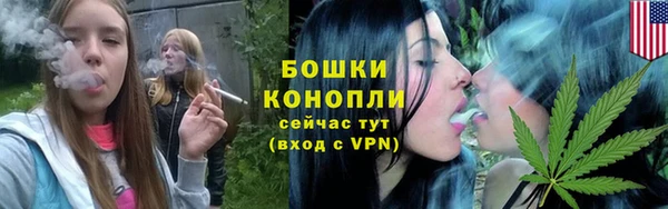 шишки Майский