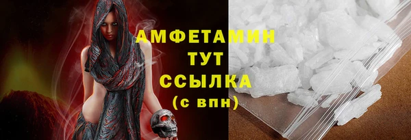 шишки Майский