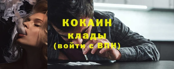 шишки Майский