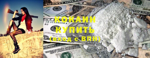 шишки Майский