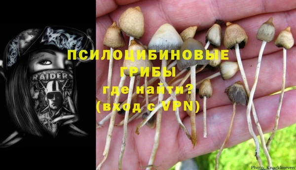 шишки Майский