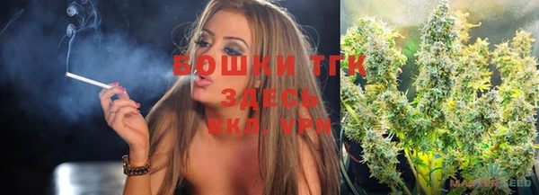 шишки Майский