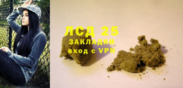 шишки Майский