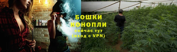 шишки Майский